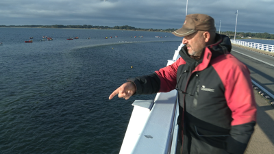 A embarcación traballaba na zona da ponte a Illa de Arousa reservada ás mariscadoras