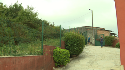 Imaxe deste xoves co terreo abundante en piñeiros e demais vexetación no lugar compostelán de Outeiro