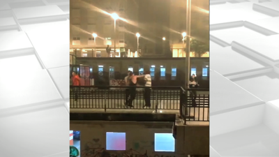 Unha das liortas gravadas en vídeo polos veciños da zona