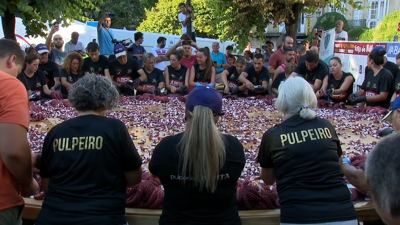 Os e as polbeiras do Carballiño lograron cortar os 581 quilos de polbo en dez minutos e medio