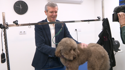 Alfonso Rueda visitou unha clínica veterinaria de Ponteareas.