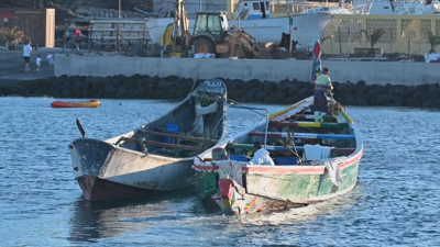Imaxe de arquivo de caiucos nas Canarias