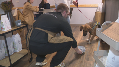 Tamén as mascostas degustan a gastronomía dos locais