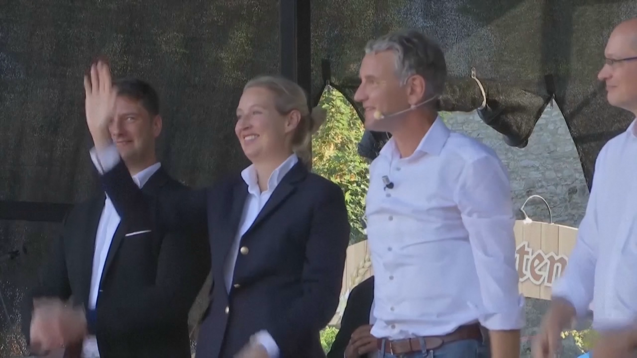 Alice Weidel, líder do partido, nunha imaxe de arquivo