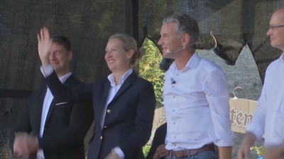 Alice Weidel, líder do partido, nunha imaxe de arquivo