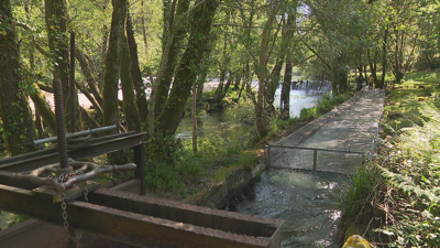 O viveiro instalouse nunha vella canle en desuso fronte á praia fluvial da Calzada