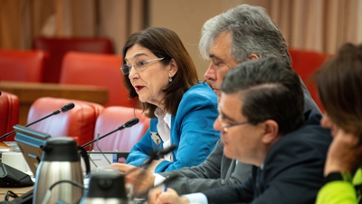 Cani Fernández, presidenta da Comisión Nacional dos Mercados e a Competencia (CNMC) compareceu este martes na Comisión de Economía do Congreso (Gabriel Luengas/Europa Press)