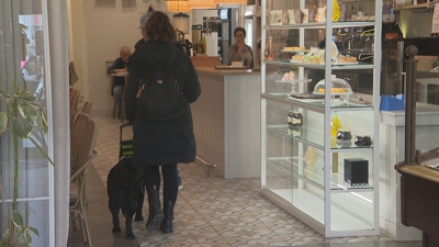 Unha muller invidente accede a unha cafetería de Foz co seu can guía