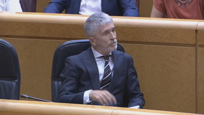 O ministro do Interior durante a sesión de control ao Goberno no Senado
