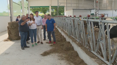 A conselleira de Medio Rural, durante a súa visita a unha explotación gandeira luguesa