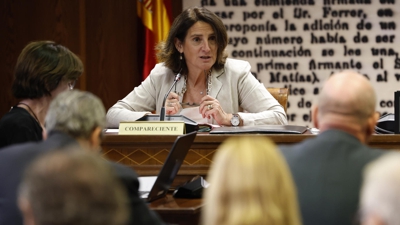 Ribera comparecendo no Senado. EFE