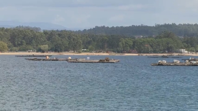 Imaxe de arquivo de bateas na Illa de Arousa