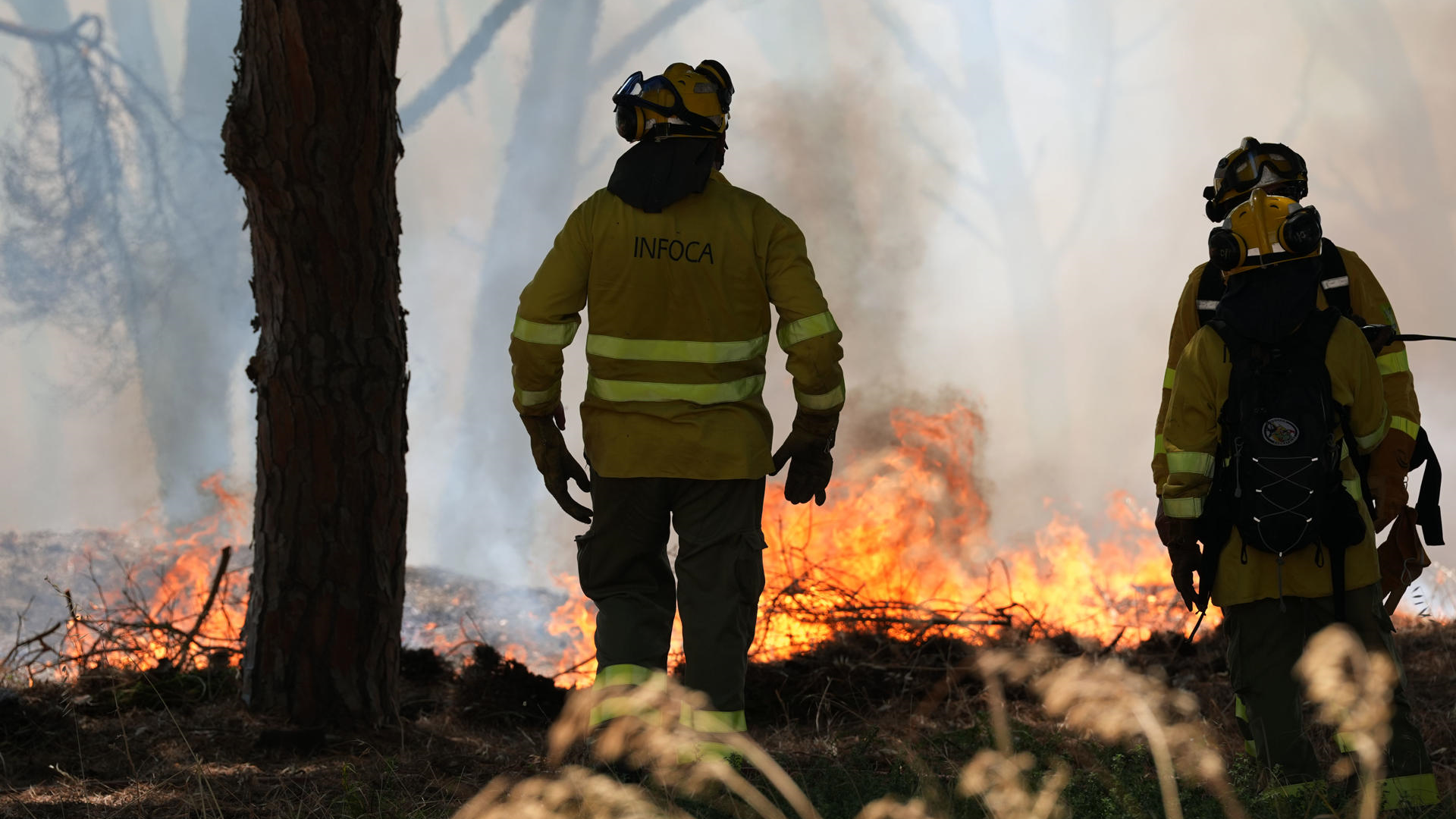 Efectivos do Infoca e do Consorcio Provincial de Bombeiros traballan na extinción dun incendio en Chiclana/Román Ríos/EFE