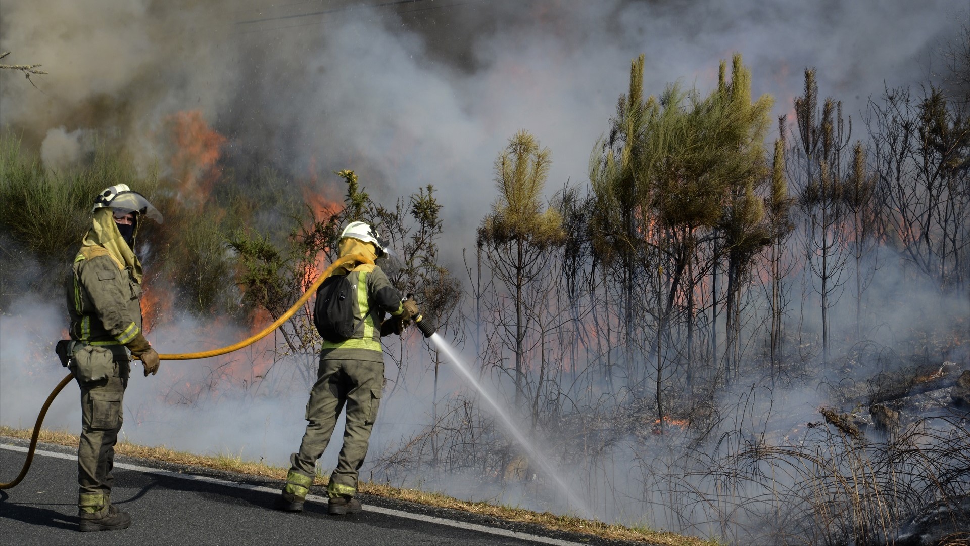 Imaxe de arquivo dun incendio forestal en San Cristovo de Cea, en agosto de 2024 (Rosa Veiga/Europa Press)