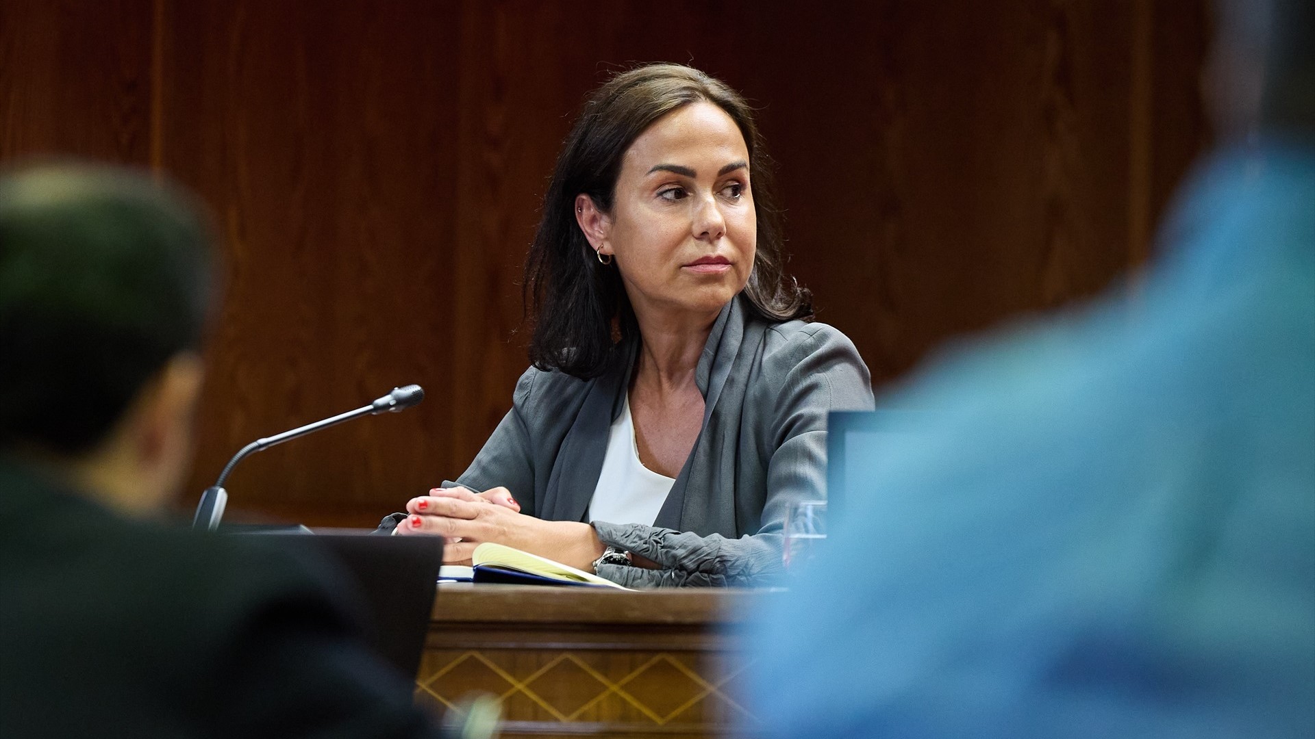Isabel Pardo de Vera durante a súa comparecencia na comisión de investigación polo caso Koldo, o 29 de maio de 2025 (Jesús Hellín / Europa Press / Arquivo)