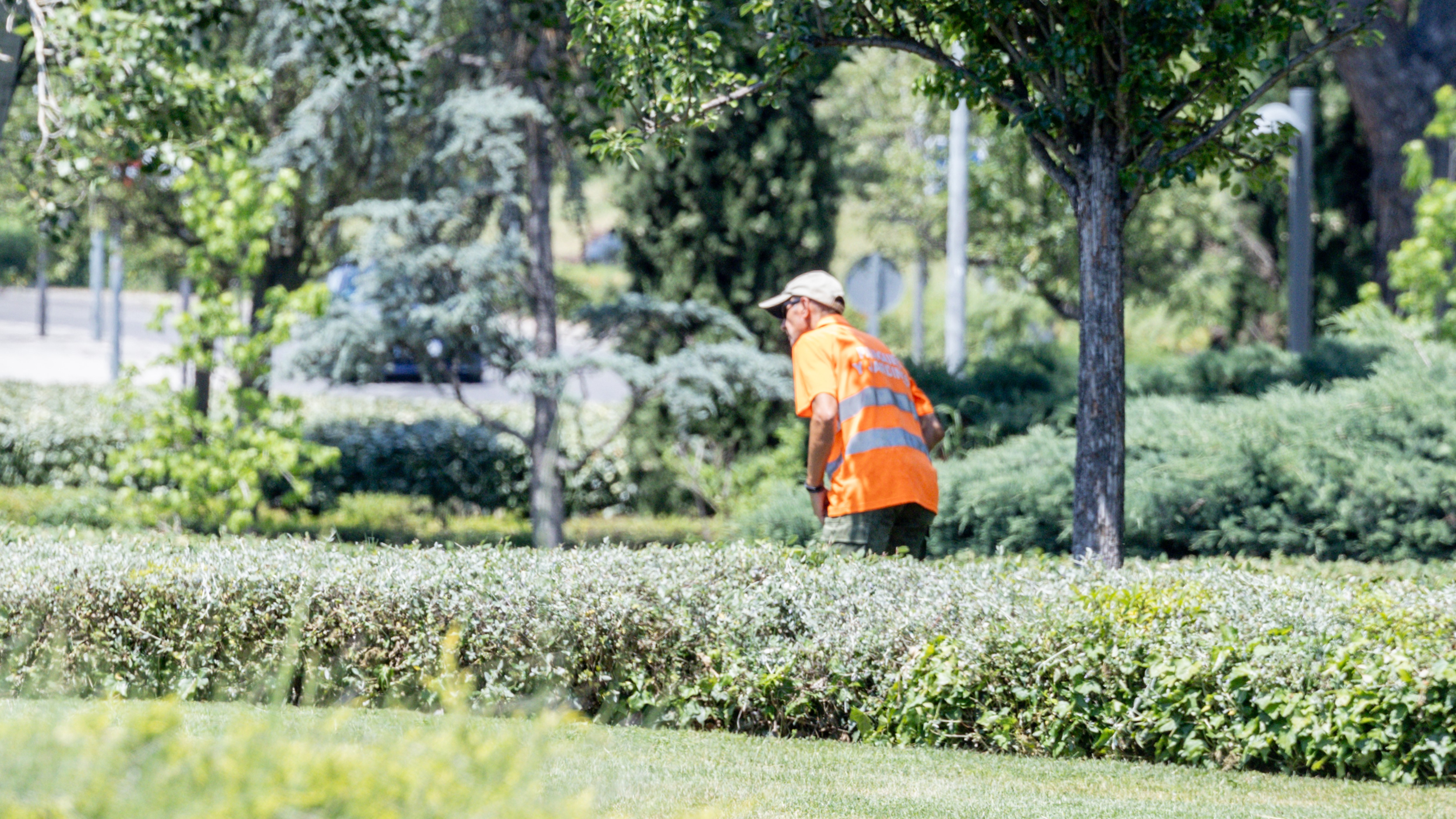Un xardineiro nunha imaxe de arquivo. Ricardo Rubio/Europa Press
