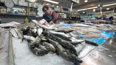 Sardiñas nas peixarías da Praza de Lugo (M. Dylan - Europa Press - Arquivo)