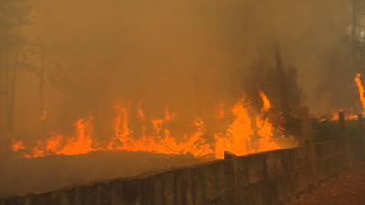 Incendio Salvaterra