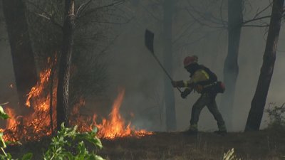 Incendio en Arbo