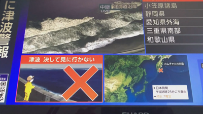 O tsunami provocou alertas en países como o Xapón