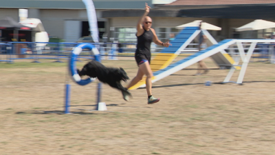 O sábado pola tarde terá lugar a Copa Galican, o evento máis agardado cos mellores competidores