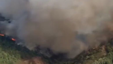 Incendio na Fonsagrada
