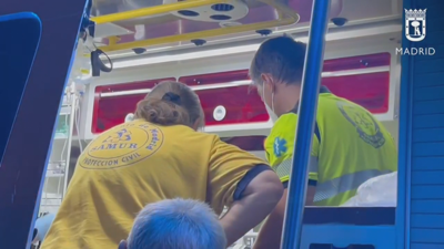 O mozo sufriu un golpe de calor cando viaxaba no Metro de Madrid este sábado pola noite
