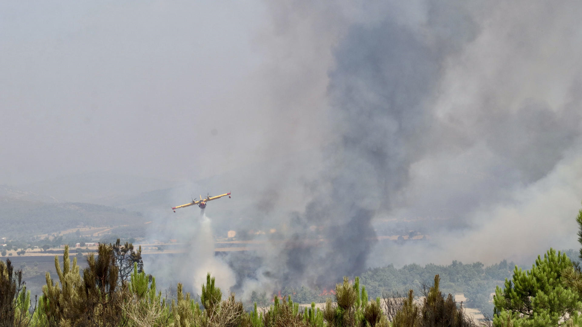 Un hidroavión descarga sobre as lapas do incendio forestal de Abelleira, en Zamora (Mariam A. Montesinos/EFE)