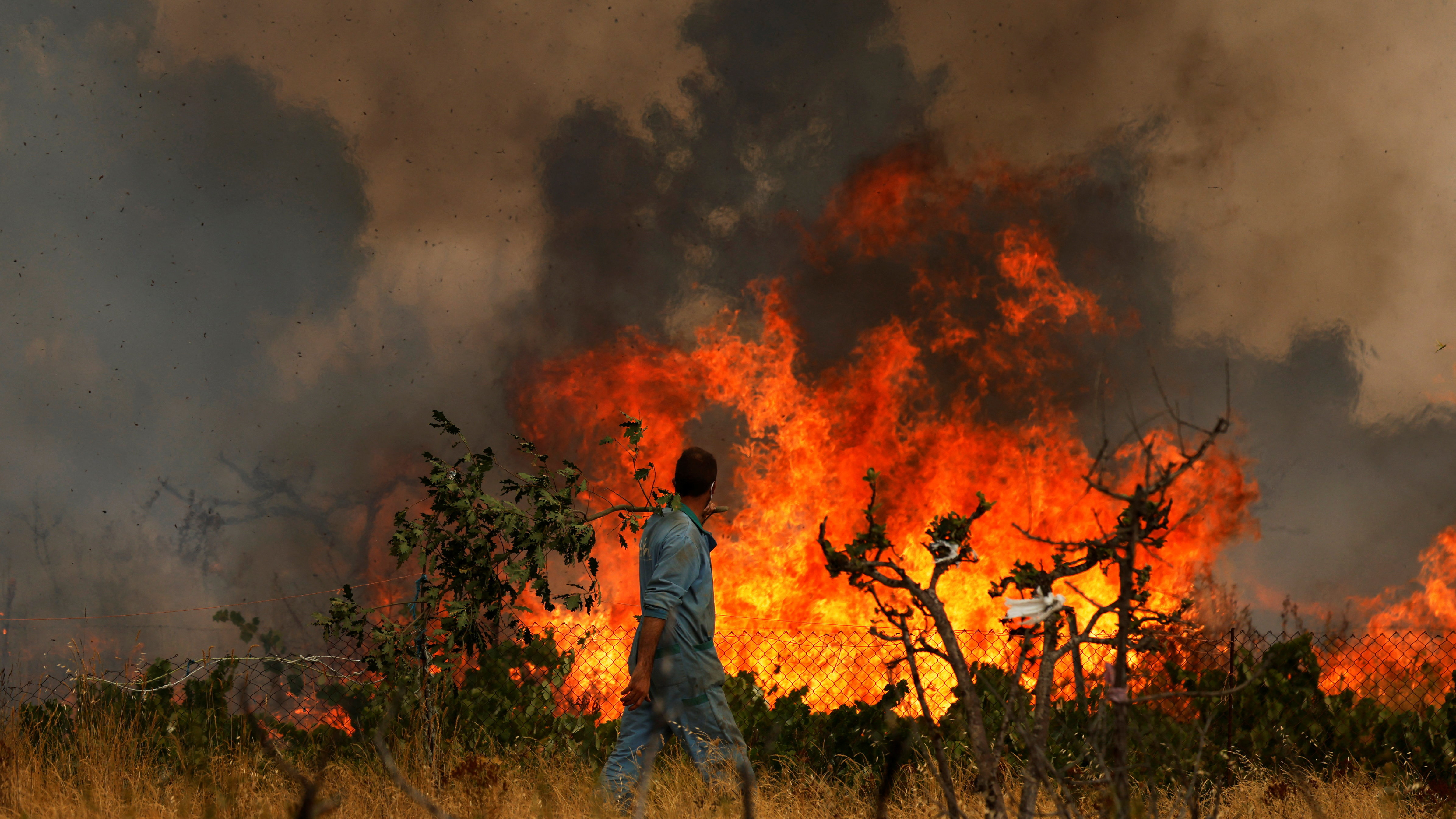 Incendio en Zamora. REUTERS/Susana Vera