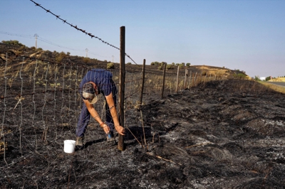 Consecuencias do incendio de Ávila. Foto: EFE/Raúl Sanchidrián.
