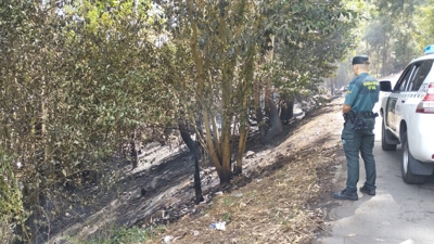 Incendio en Poio (Europa Press/Garda Civil de Pontevedra)