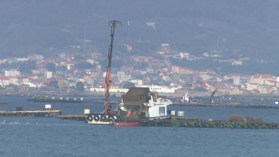 A ría máis afectada é a de Pontevedra