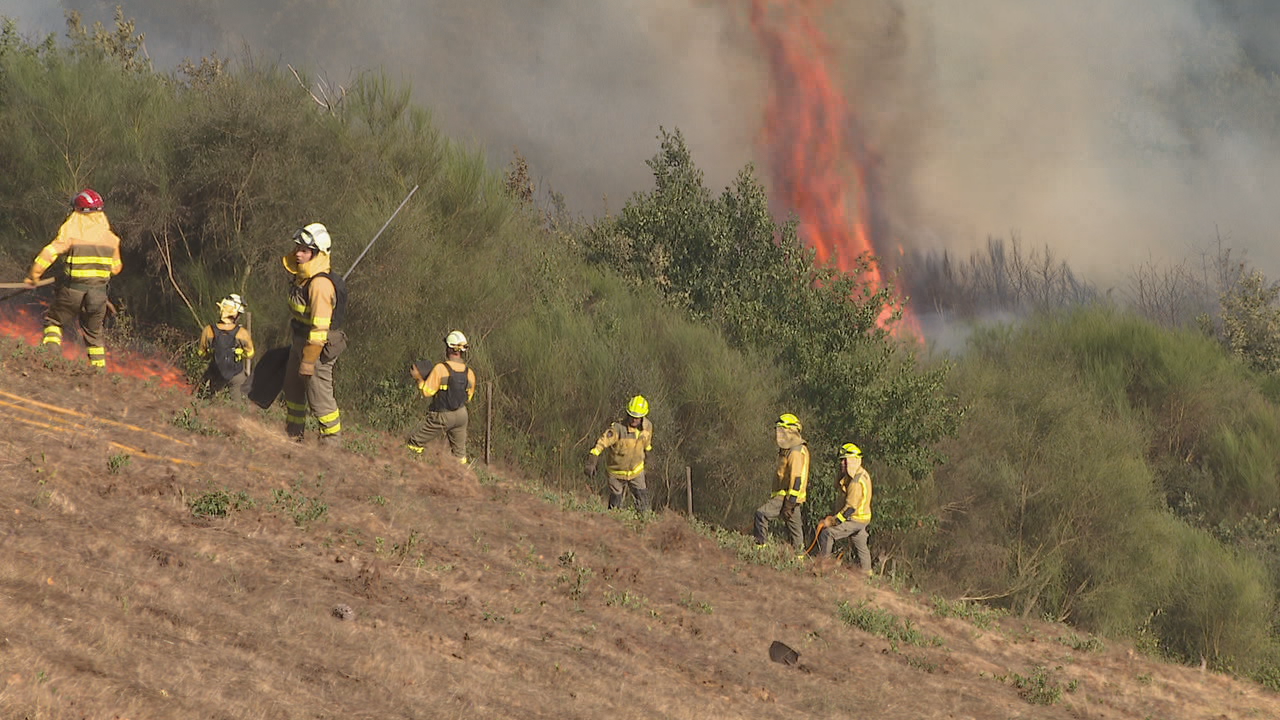 Os equipos de extinción actuando sobre o incendio declarado na Fonsagrada