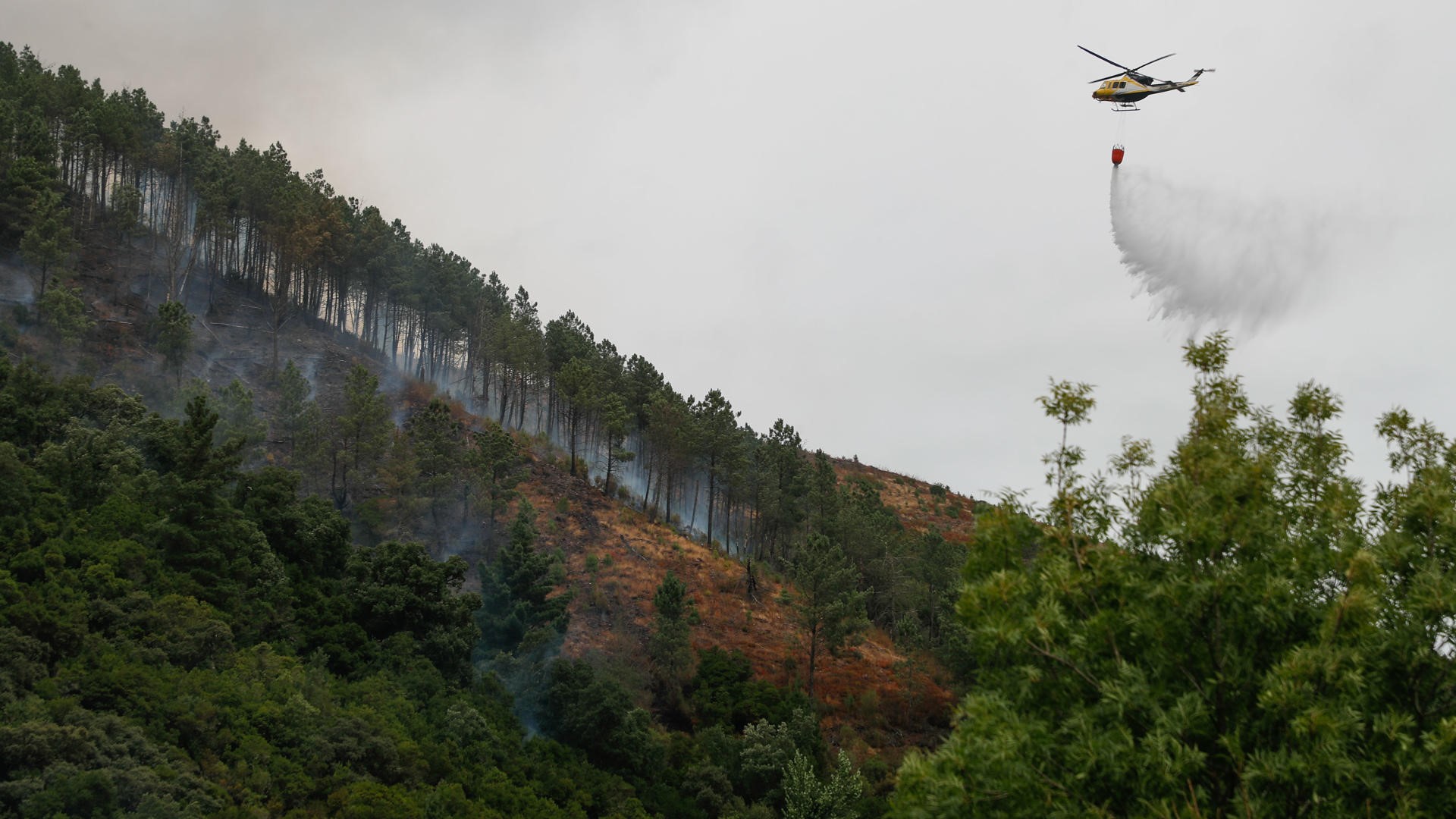 Un helicóptero arregría o terreo en Quiroga (EFE/ Eliseo Trigo)
