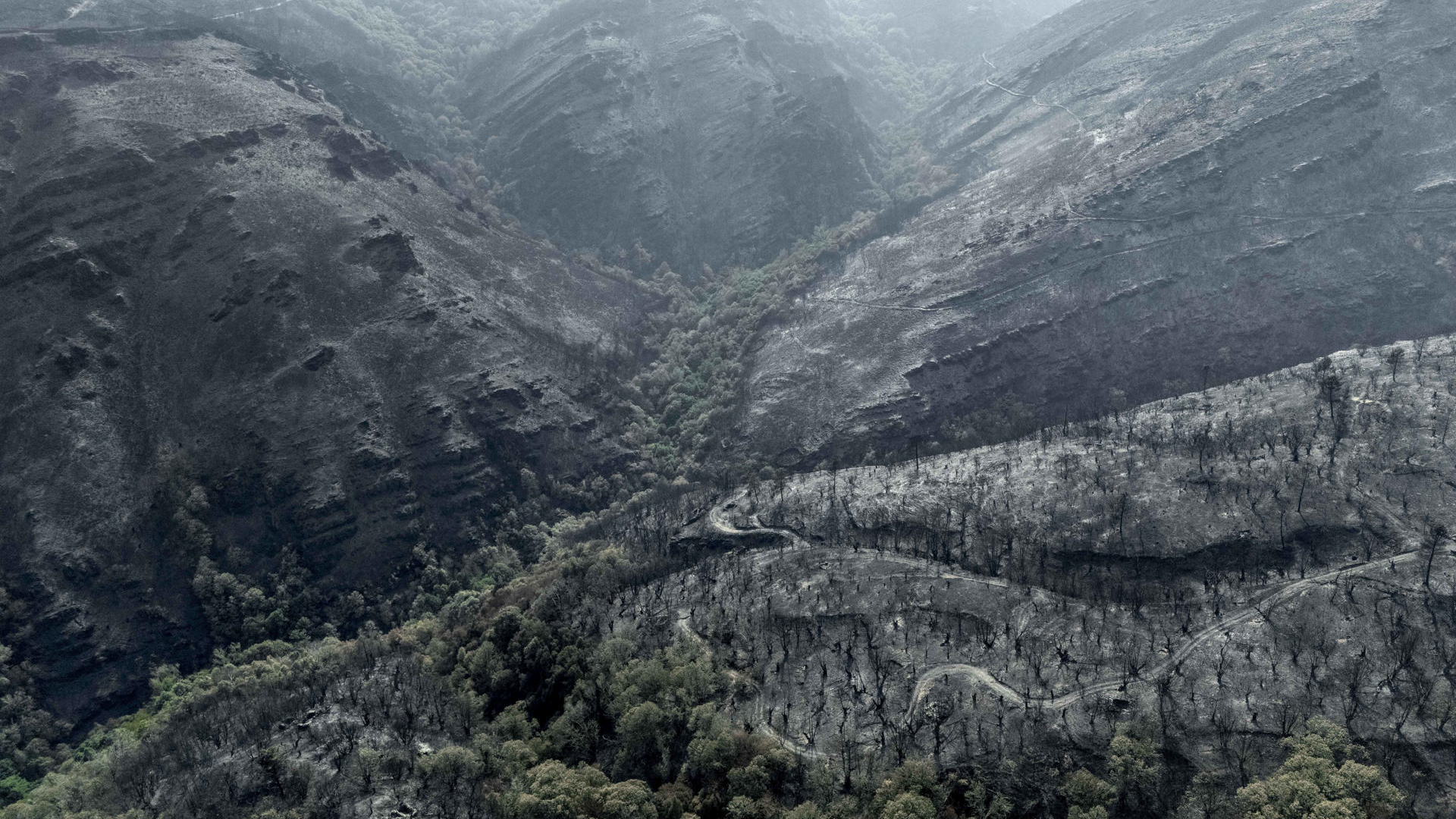 Superficie calcinada polo peor incendio da historia de Galicia, o de Larouco/Brais Lorenzo/EFE
