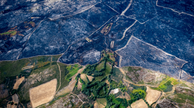 Consecuencias dos incendios en Vilardevós, Ourense/Greenpeace