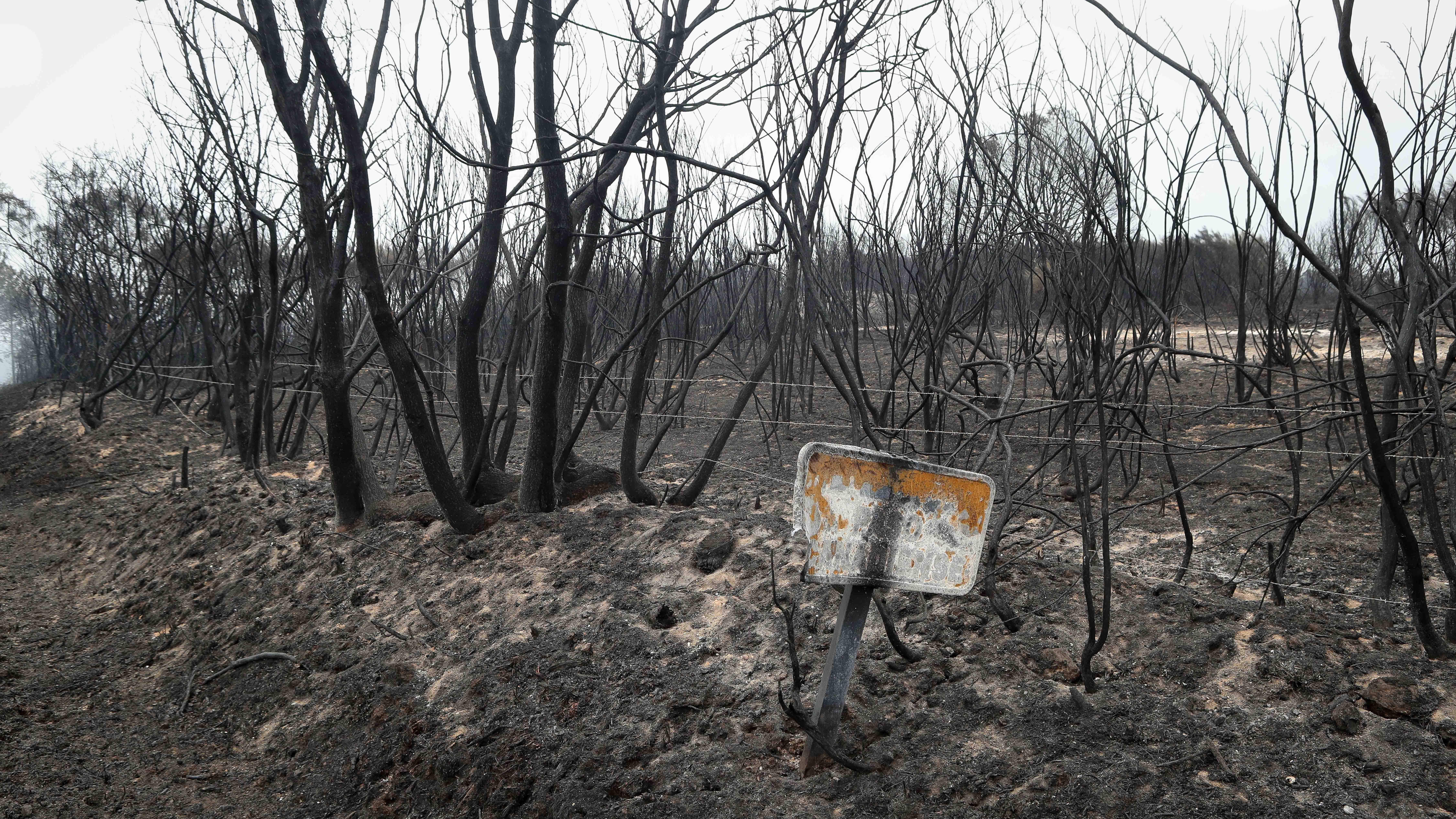 Monte calcinado en Pantón. EUROPA PRESS/Carlos Castro