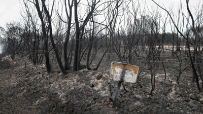 Monte calcinado en Pantón. EUROPA PRESS/Carlos Castro