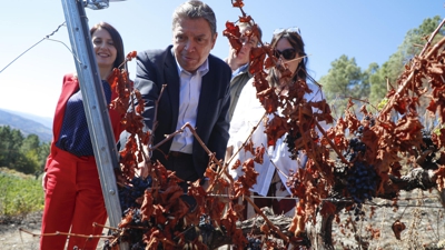 O ministro de Agricultura e a conselleira de Medio Rural, este xoves na Rúa (EFE/Eliseo Trigo)