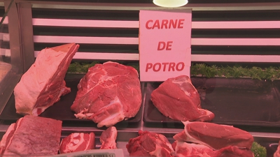Distintas carnes de poldro expostas no mostrador da carnicería
