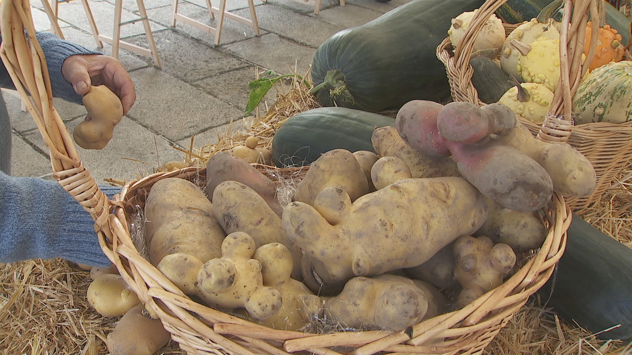 Destaca o tradicional concurso da pataca e tamén doutro produtos agrícolas.