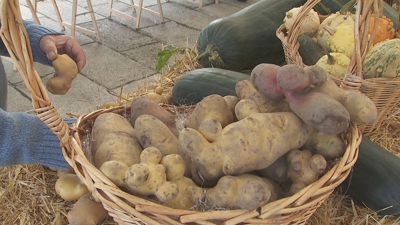 Destaca o tradicional concurso da pataca e tamén doutro produtos agrícolas.