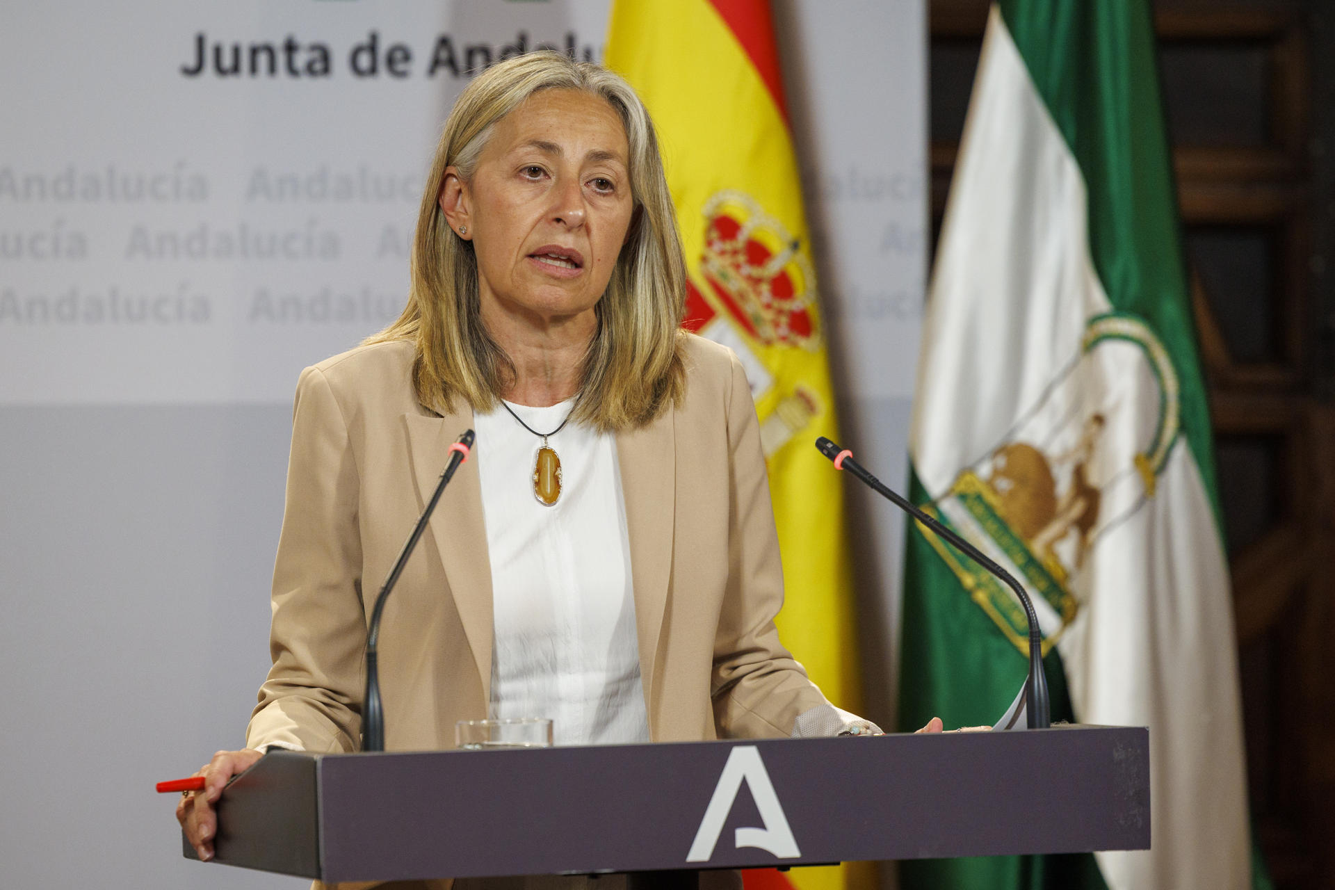 A conselleira andaluza de Saúde, Rocío Hernández, renuncia. EFE/Julio Muñoz