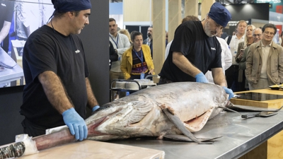 Imaxe do peixe espada despezado este mércores en Vigo, na feira Conxemar (EFE/ Salvador Sas)