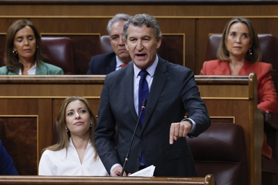 Núñez Feijóo, nunha intervención no Congreso (EFE/J.J. Guillén)