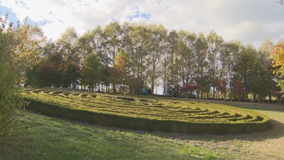O labririnto encóntrase na aldea da Lagúa, a un quilómetro do Camiño Francés