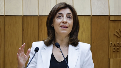 A conselleira de Medio Ambiente e Cambio Climático, Ánxeles Vázquez, durante a súa intervención no pleno do Parlamento (EFE/Lavandeira jr)