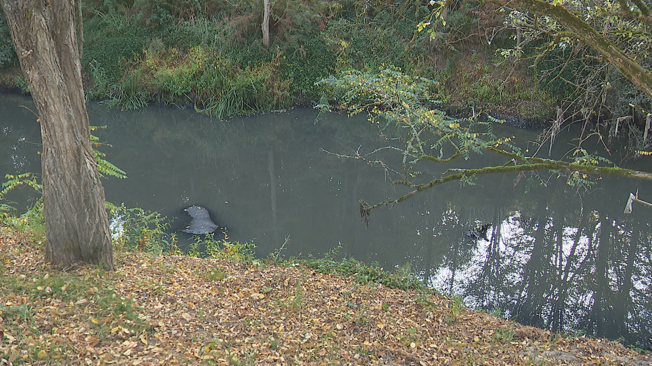 Vertedura no río Sar ao seu paso por Bertamiráns