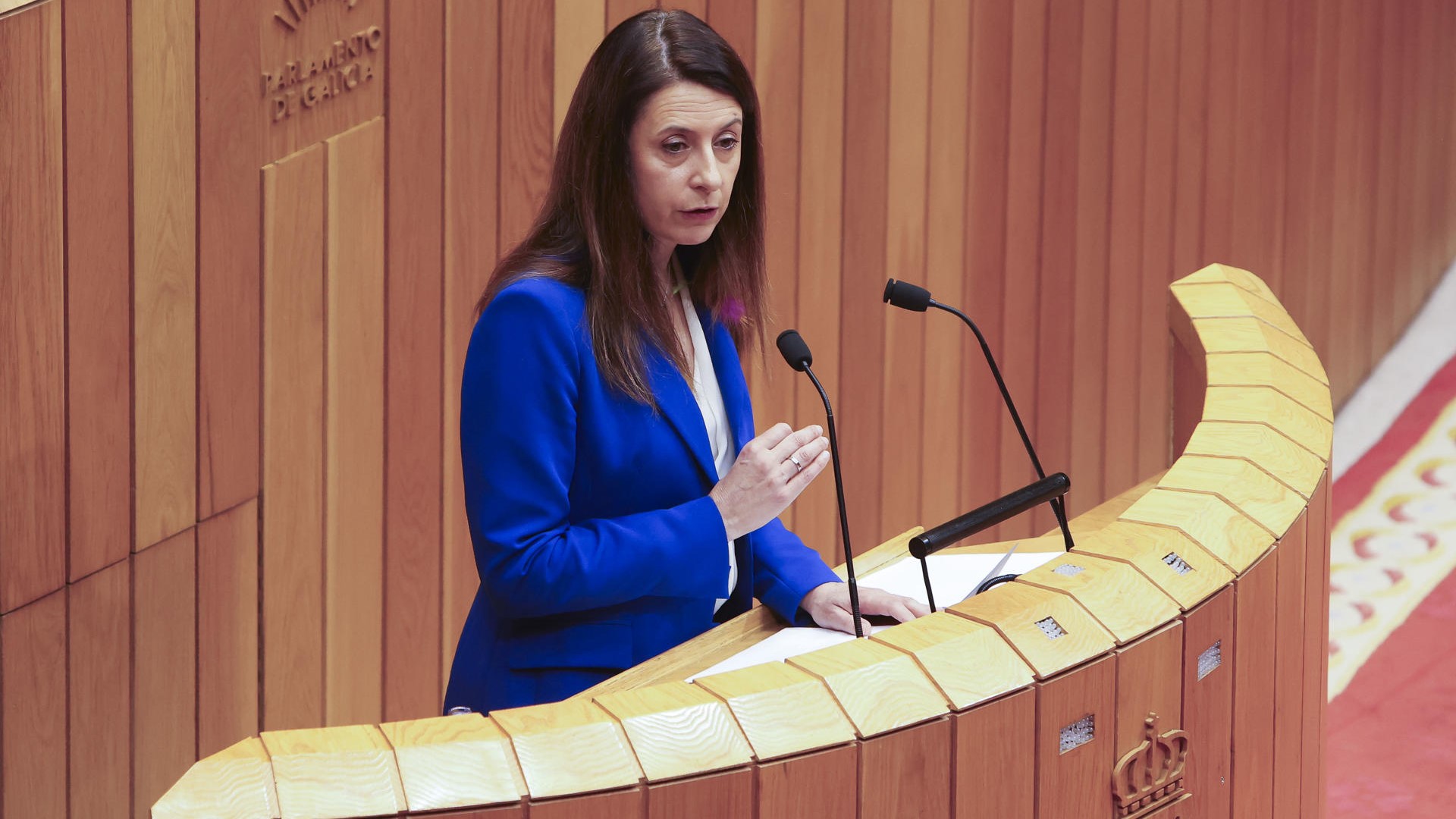 A conselleira de Medio Rural, María José Gómez, este martes no Parlamento (EFE/Xoán Rey)