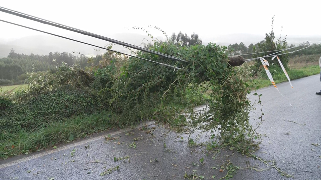 No directo: imaxe da cámara web situada en Muxía con vistas á praia de Lourido e á vila (www.g24.gal) / Na foto: poste caído en Carballo pola forza do vento (TVG)